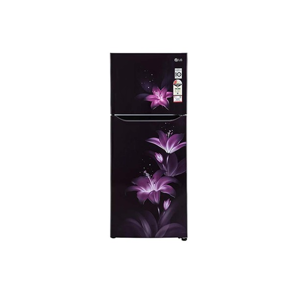 LG GL-N292BPGY 260 Liters 2 Star Double Door Refrigerator (Purple Glow)